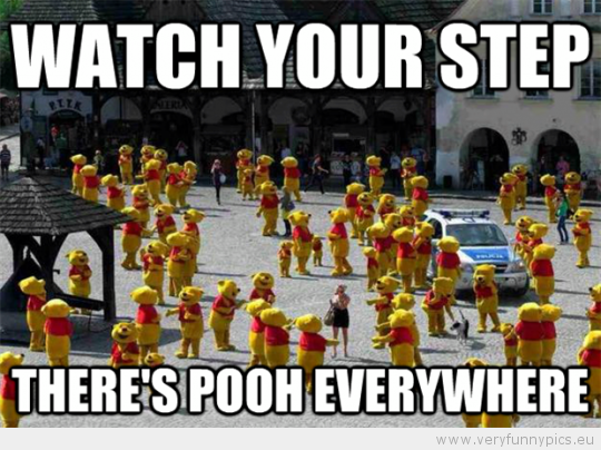 Funny Picture - Watch your step there is pooh everywhere
