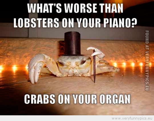 Funny Picture - Whats worse than lobsters on your piano crabs on your organ