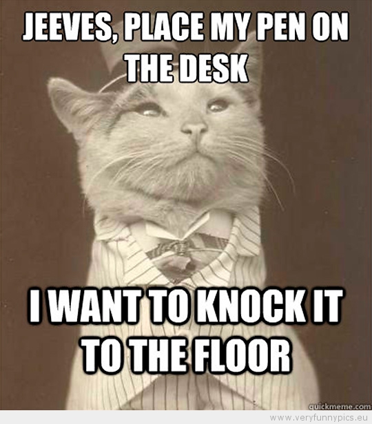 Funny Picture - Aristocat-Jeeves place my pen on the desk i want to knock it to the floor