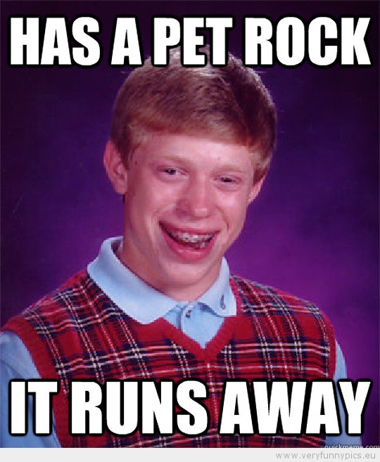 Funny Picture - Bad luck brian has a pet rock - it runs away