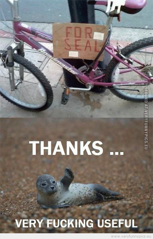 Funny Picture - Bike for seal