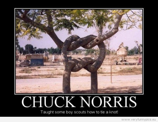 Funny picture - Chuck Norris taught some boy scouts how to tie a knot