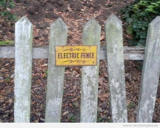 Funny picture - Electric fence
