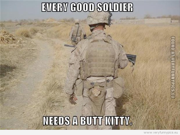 Funny Picture - Every good soldier needs a butt kitty