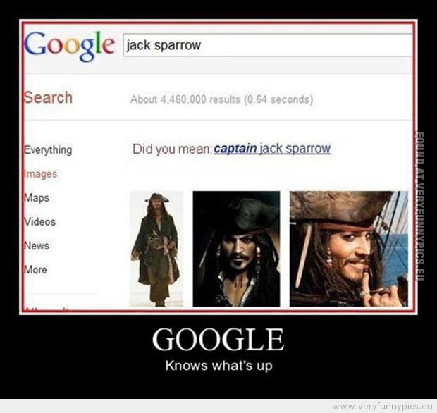 Funny Picture - Google know what's up