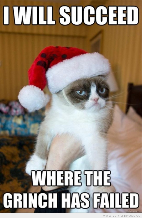 Funny Picture - Grumpy cat i will succeed where the grinch has failed