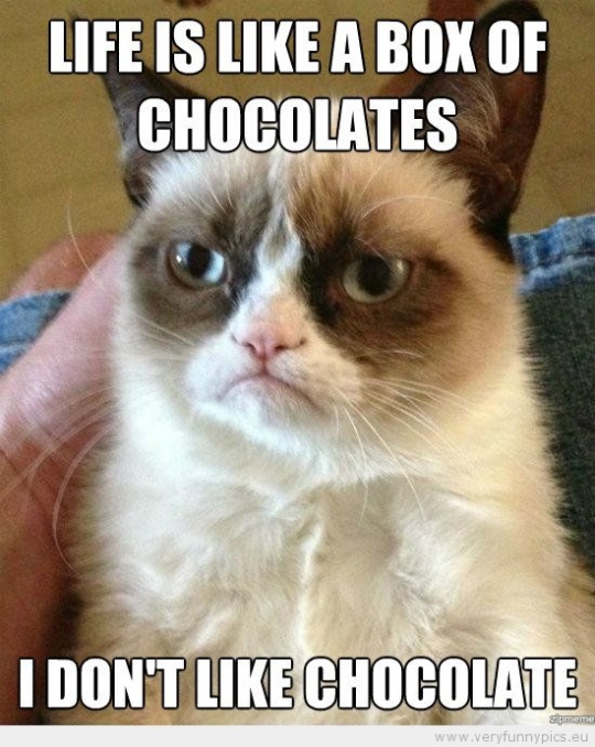 Funny Picture - Grumpy cat life is like a box of chocolates i dont like chokolate