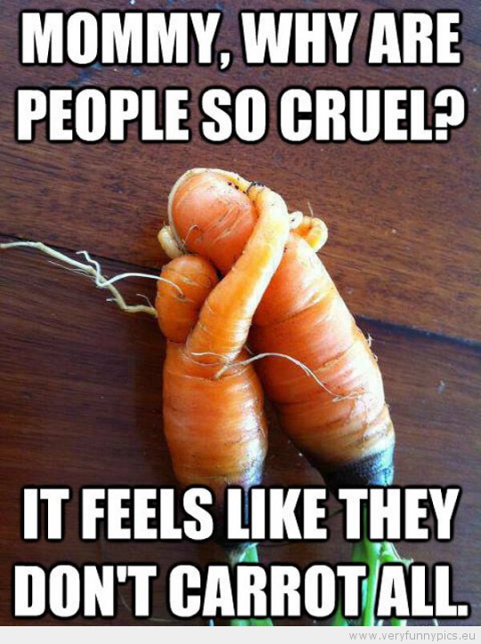 Funny Picture - Mommy why are people so cruel? It feels like the don't carrot all