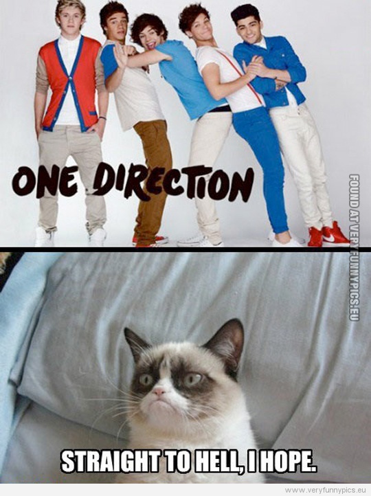 Funny Picture - One direction - Straight to hell i hope, says grumpy cat