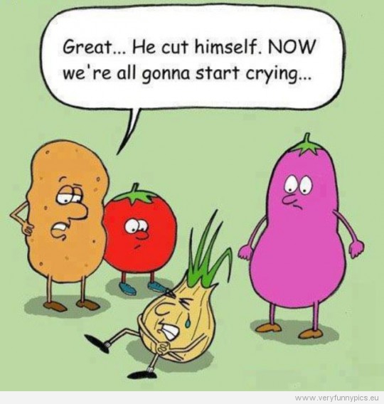 Funny picture - Onion cuts himself