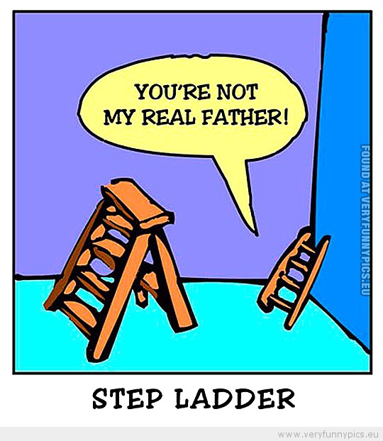 Funny Picture - Step ladder you're not my real father
