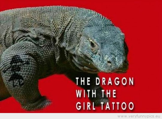 Funny Picture - The dragon with the girl tattoo