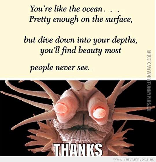 Funny Picture - You're like the ocean