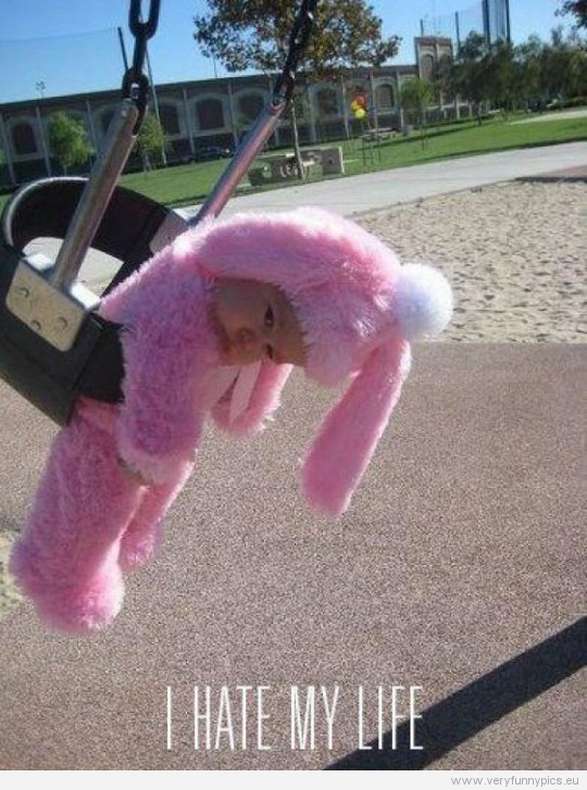 Funny Picture - Baby on swing in bunny suite - i hate my life