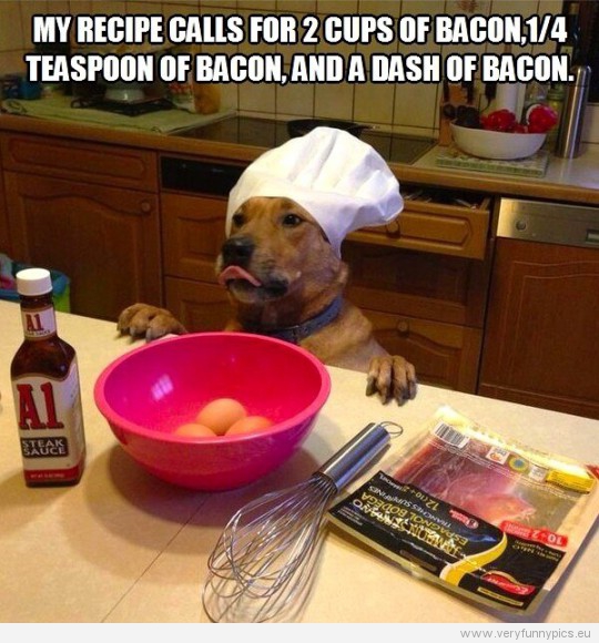 Funny Picture - Bacon loving dog