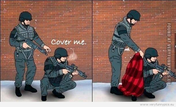 Funny Picture - Cover me