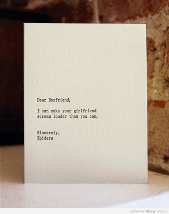 Funny Picture - Dear Boyfriend - Fun letterpress card