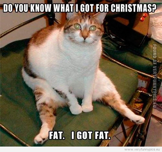 Funny Picture - Do you know what i got for christmas? - Fat. I got fat - Fat cat