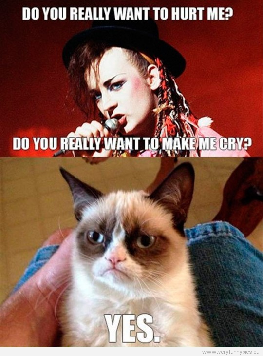 Funny Picture - Do you really want to hurt me, Boy George sings - Yes, grumpy cat replies