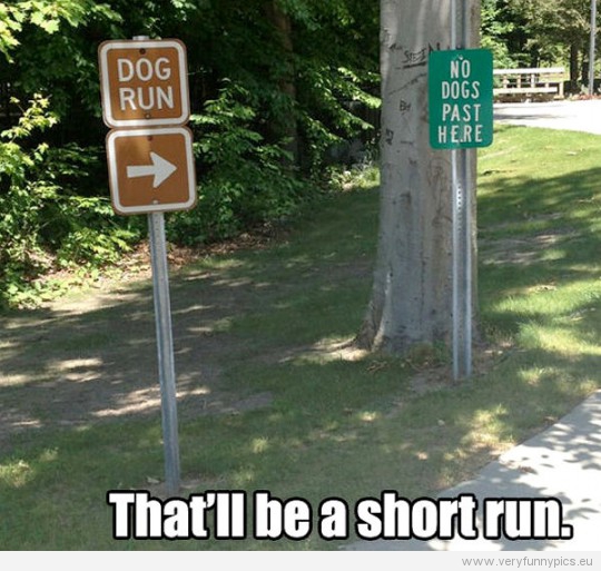 Funny Picture - Dog run, no dogs past here -That'll be a short run