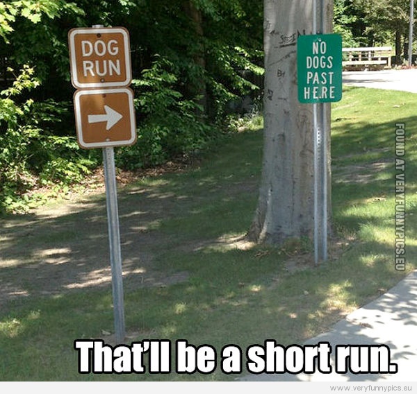 Funny Picture - Dog run, no dogs past here -That'll be a short run