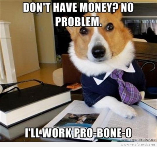 Funny Picture - Dog working pro-bone-o