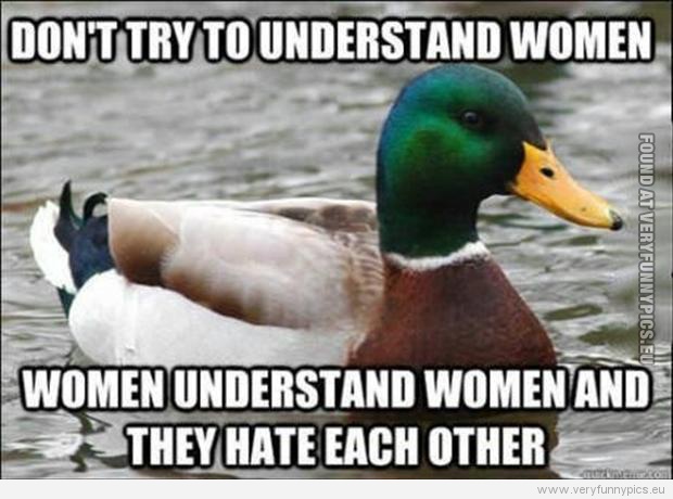 Funny Picture - Don't try to understand women - Women understands women and they hate each other