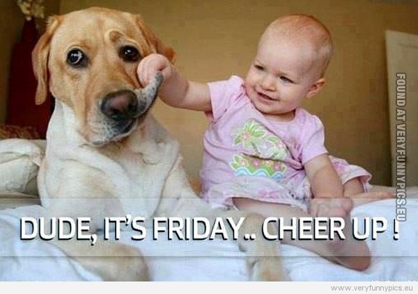Funny Picture - Dude it's friday cheer up