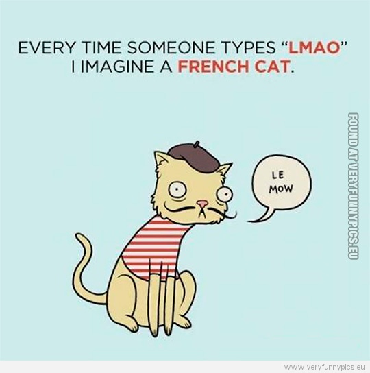 Funny Picture - Every time someone types LMAO i imagine a french cat - Le mow