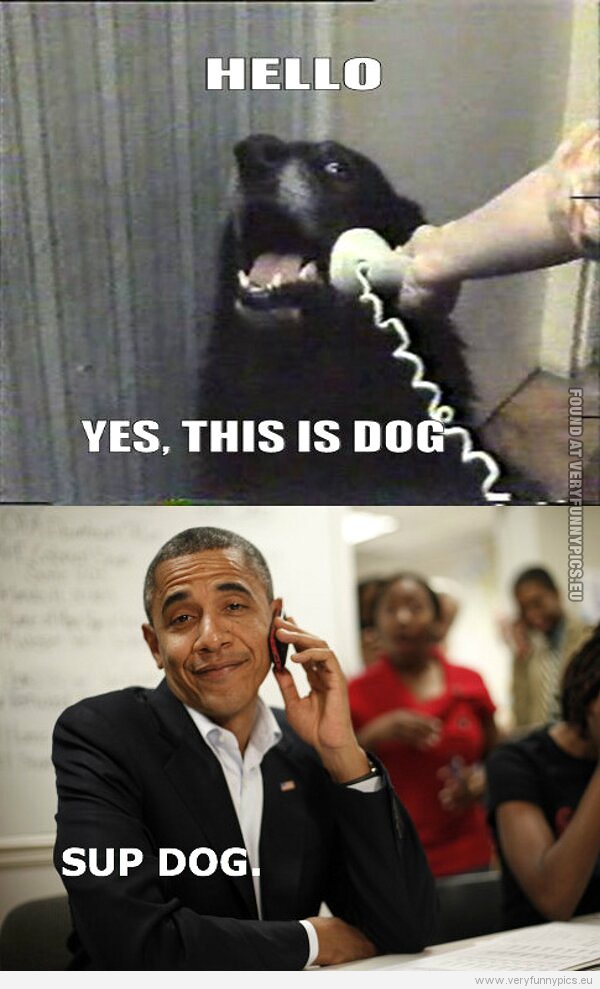 Funny Picture Hello, yes this is dog. Sup dog. Obama calls dog.