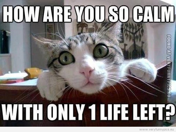 Funny Picture - How are you som calm with only one life left