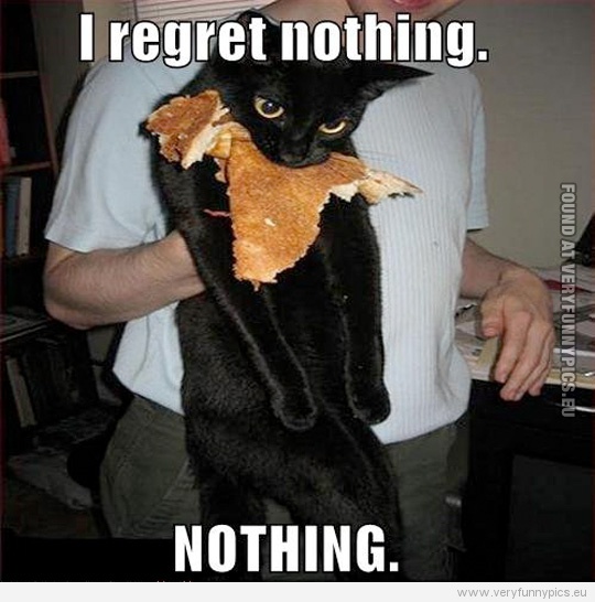 Funny Picture - I regret nothing. Nothing cat