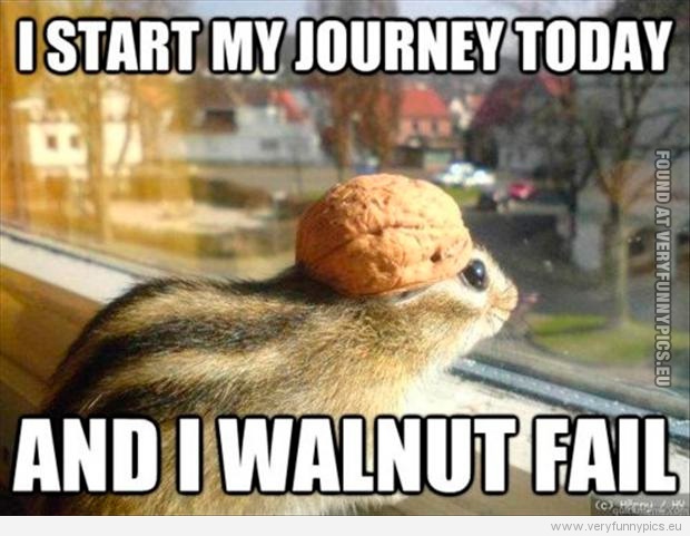 Funny Picture - I start my journey today and i walnut fail