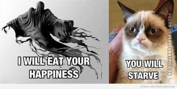 Funny Picture - I will eat your happiness - You will starve grumpy cat
