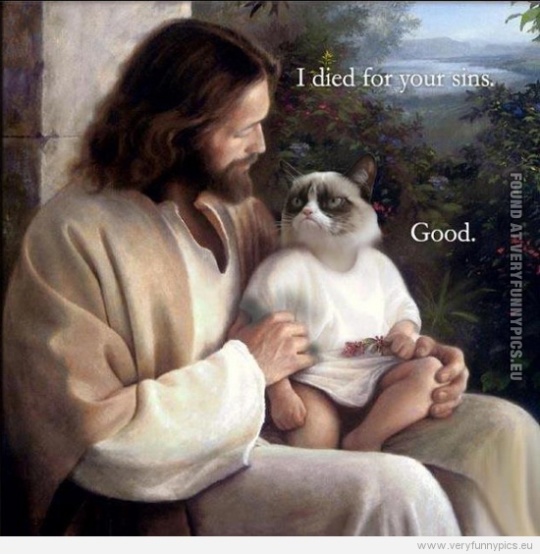 Funny Picture - Jesus to grumpy cat - I died for your sins - good