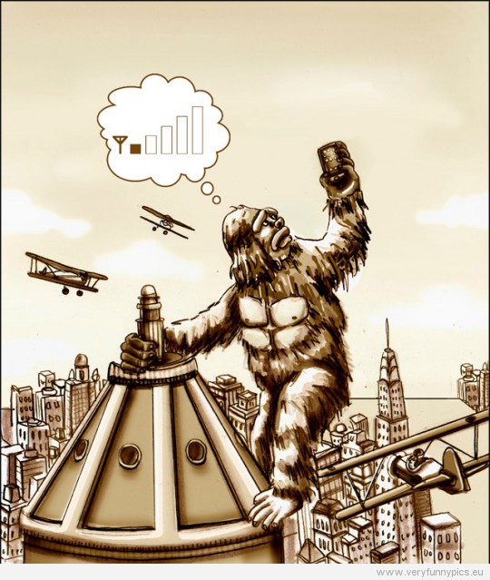 Funny Picture - King Kong checking his mobile signal