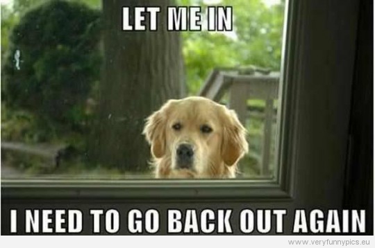 Funny Picture - Let me in - I need to go back out again - Every dog ever