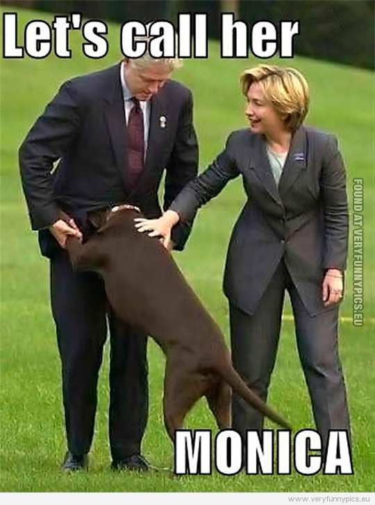 Funny Picture - Let's call her Monica - Dog in Bill Clintons crouch