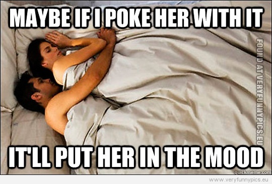 Funny Picture - Maybe if i poke her with it it'll put her in the mood