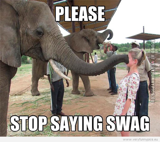 Funny Picture - Please stop saying swag