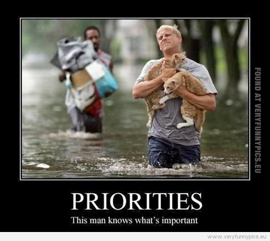 Funny Picture - Priorities this man knows whats inportant - Saving his cats