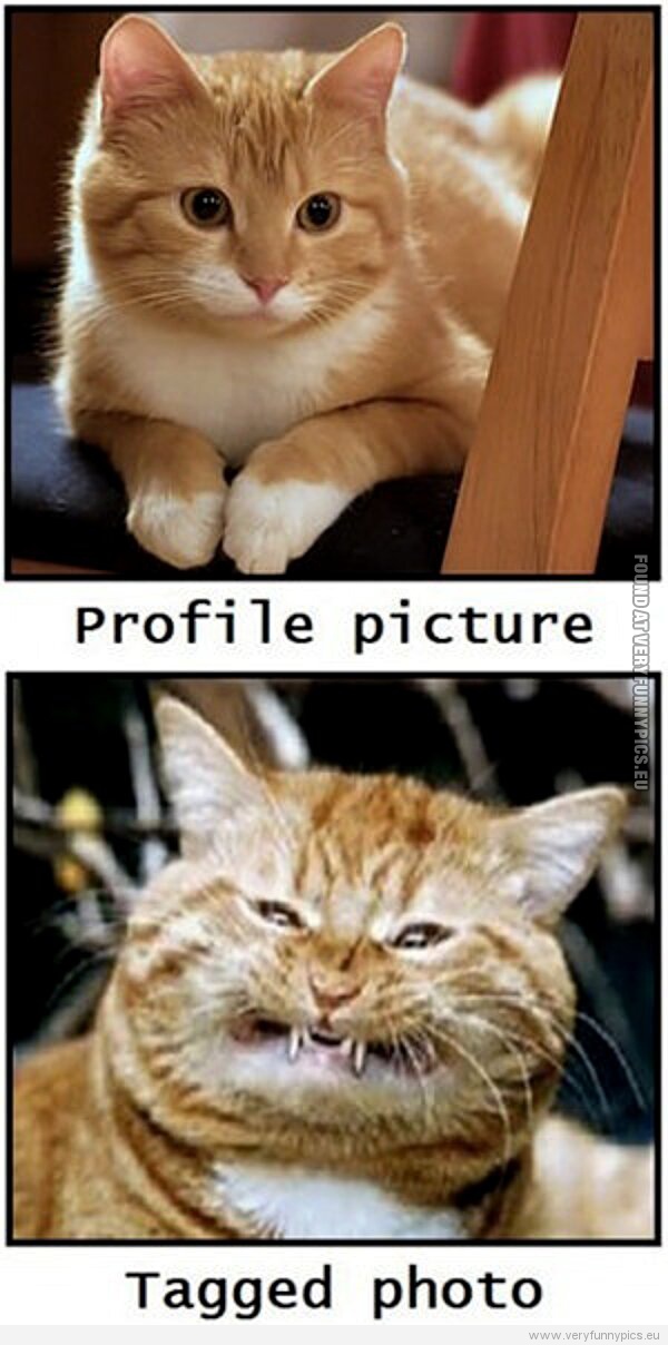 Funny Picture - Profile picture VS Tagged photo