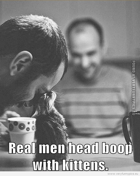 Funny Picture - Real men head boop with kittens