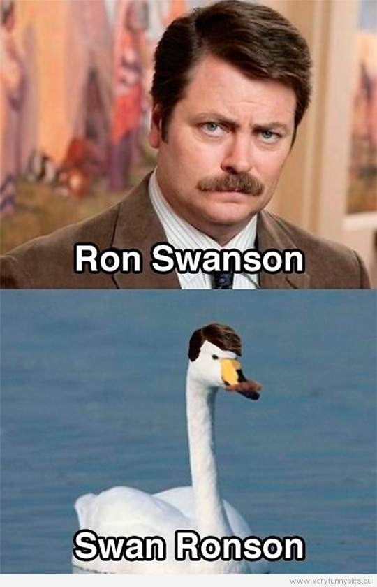 Funny Picture - Ron Swanson VS Swan Ronson