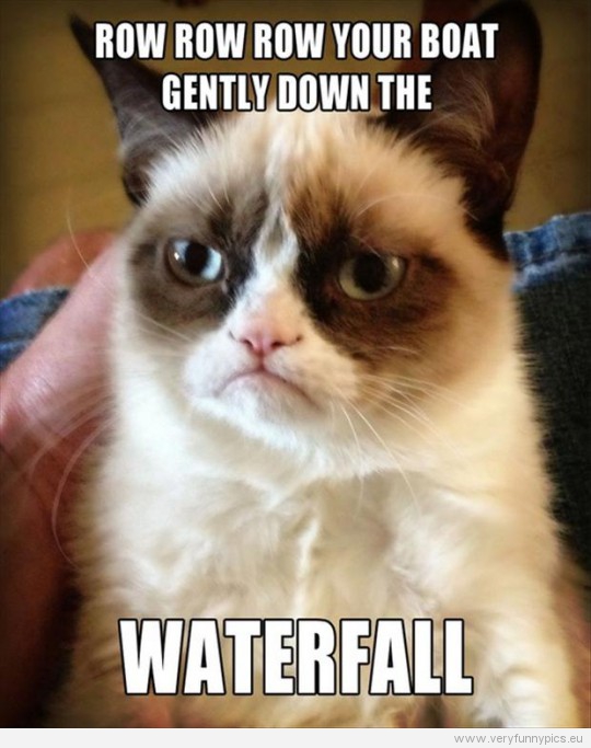 Funny Picture - Row row row your boat gently down the waterfall - Grumpy Cat