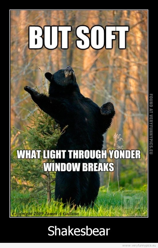 Funny Picture - Shakesbear