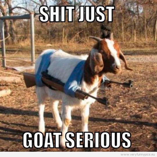 Funny Picture - Shit just goat serious