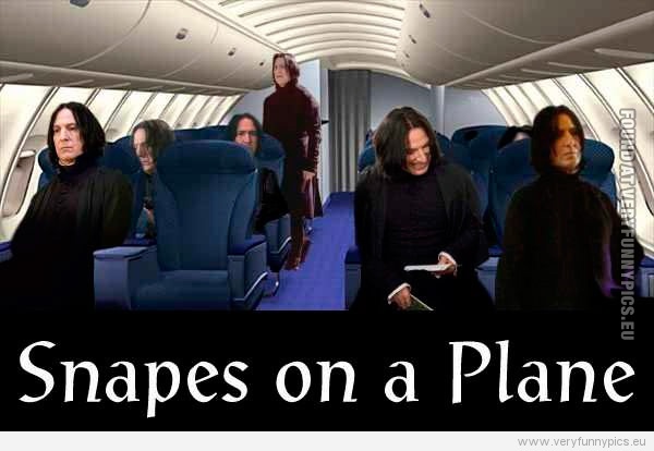 Funny Picture - Snapes on a Plane