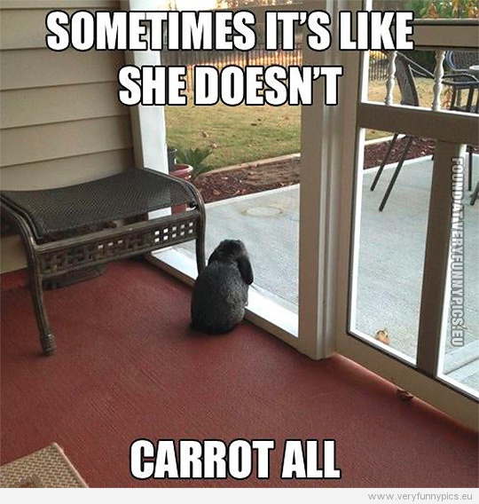Funny Picture - Sometimes it's like she doesn't carrot all