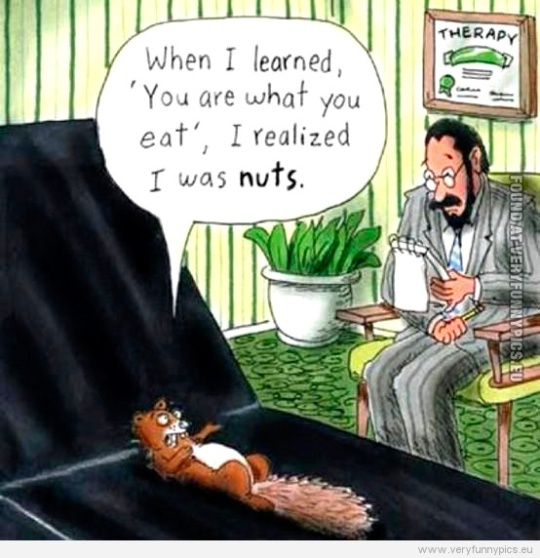 Funny Picture - Squirell at psychologist